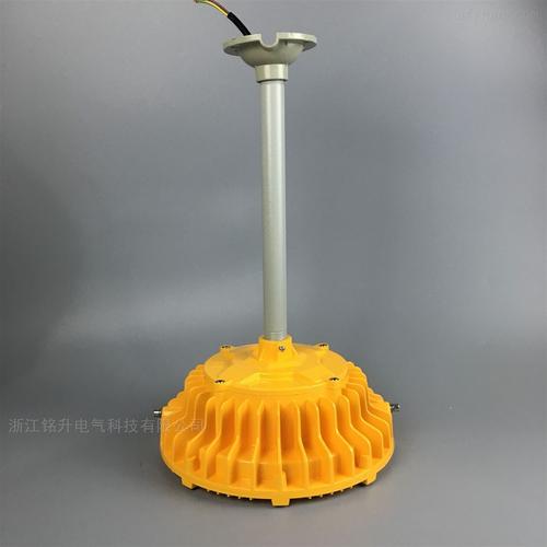 防爆吊杆式工厂灯LED 100W 工业安防照明的最佳选择